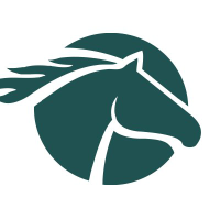 EQUUS MINING LTD