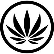 CHOOM HOLDINGS INC
