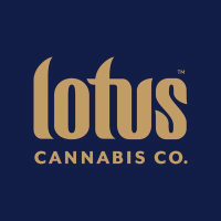 LOTUS VENTURES INC