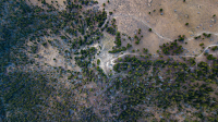 OPHIR GOLD CORP