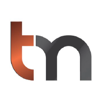 TRIGON METALS INC